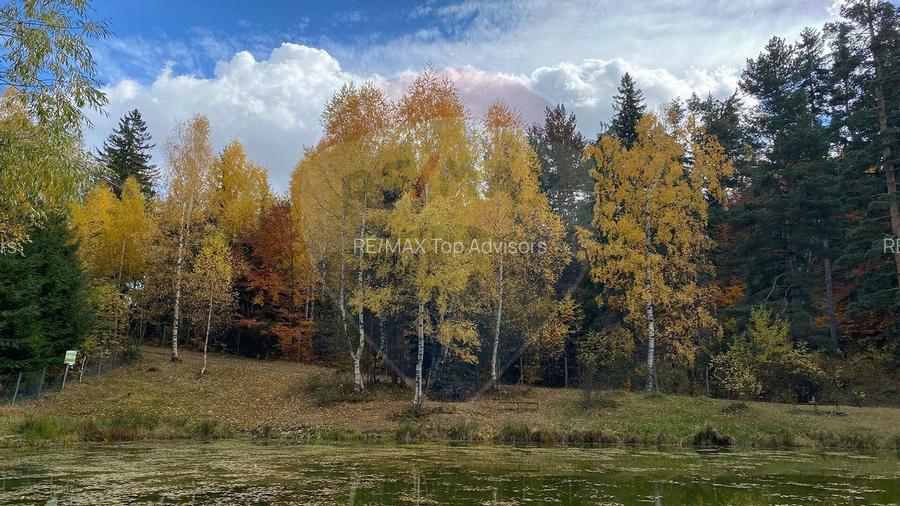 DE VANZARE Pensiune | 12 camere | Bisoca / Buzau - 23