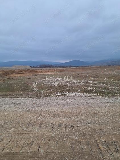 Teren intravilan 1450 mp – Carpiniș , Ideal pentru casă de locuit - 7