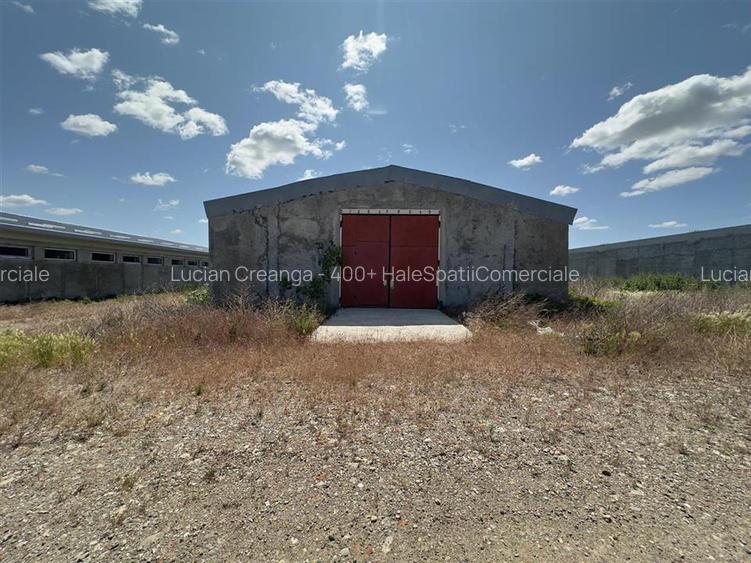 Vanzare hale Horlesti, aproape de Letcani/ Metro, de la 200mp la 2500mp - 8