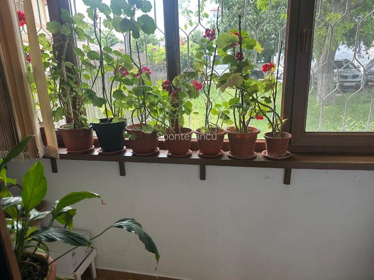 Apartament 2 camere decomandat de vânzare – Str. Soveja - 11