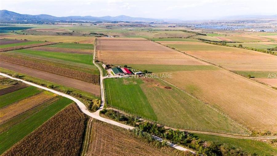 FILM! 18.000 mp, extravilan, agricol+ constructii:ferma,investitii agricole, Rot - 12
