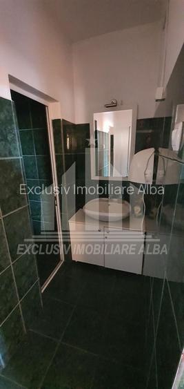 Pensiune de vanzare | 7 camere | 240 mp | Centru - 6