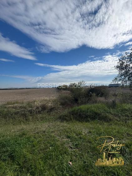 Teren extravilan 2 ha de vanzare in comuna Sacadat - judetul Bihor - 4