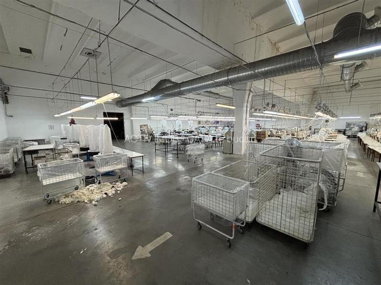 Complex industrial 30130  mp construit - Teren 42558 mp - 8