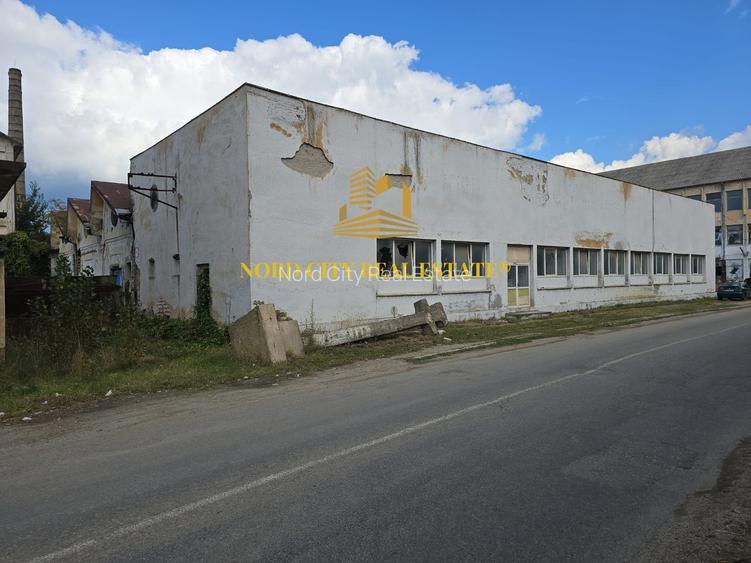 Platforma Industriala-8 ha -Fabrica-Hale Productie-21.500 mp - 14