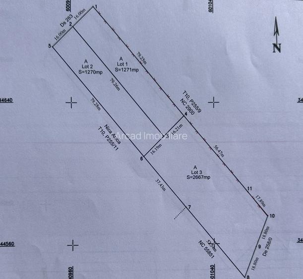Teren de vânzare | 5.208 mp | Str. Bucegi, Creata – Dascălu - 5