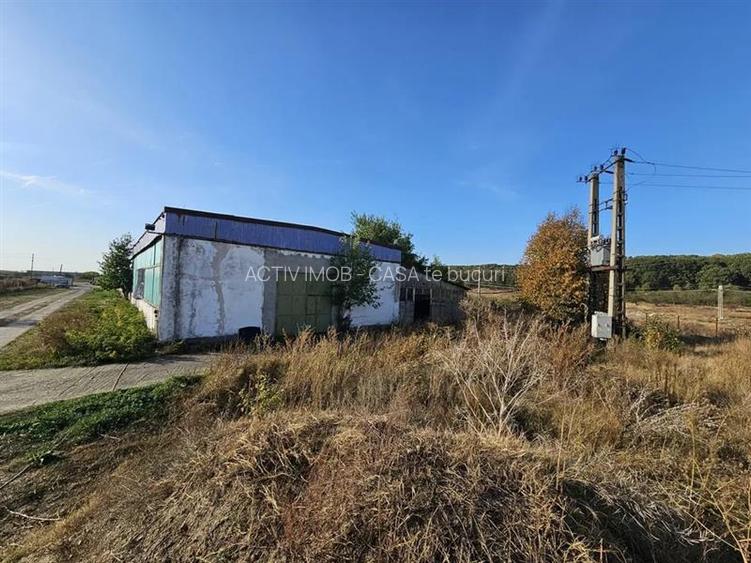 Hala industriala (1000 mp) si teren (4000 mp), Scornicesti, Trafo - 5