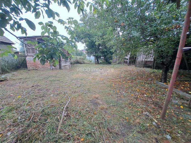 RECO  casa batraneasca Salard - 7