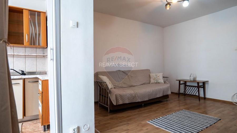 Vanzare apartament cu 1camera,  zona Pantelimon - Piata Delfinului - 3