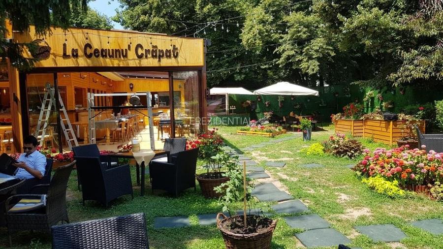 Spatiu  comercial -Parc Herastrau - 7