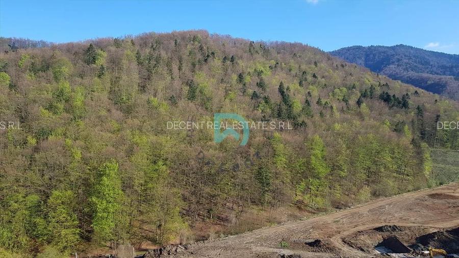 Apartament 3 camere - 10