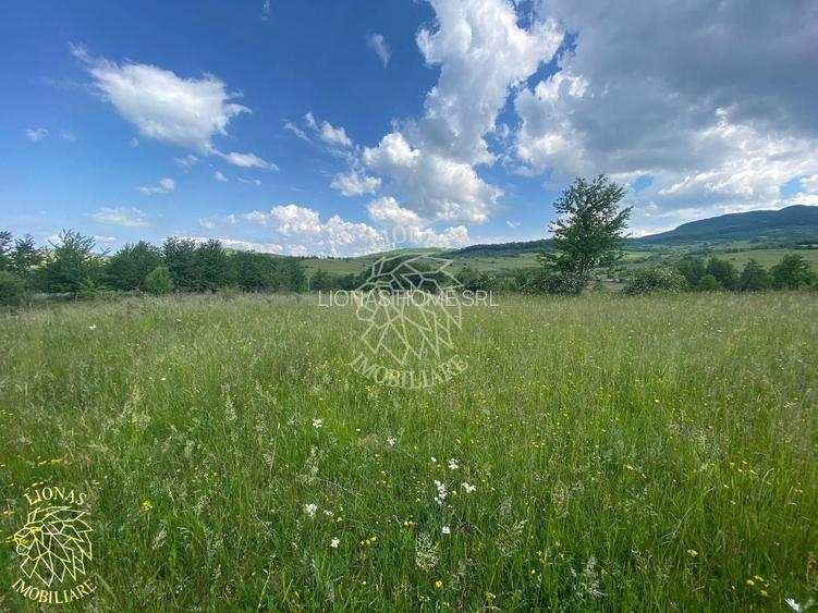 Teren 6500 mp-Lac-vedere panoramica-ideal cabana-Cusma - 6