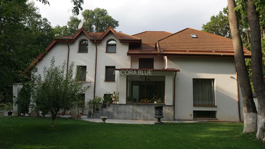 Vila superba in Padurea Baneasa, curte 5000 mp, piscina exterioara - 46