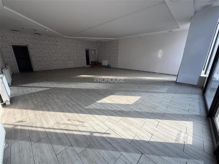 Orizont - spatiu comercial stradal 87mp - 9