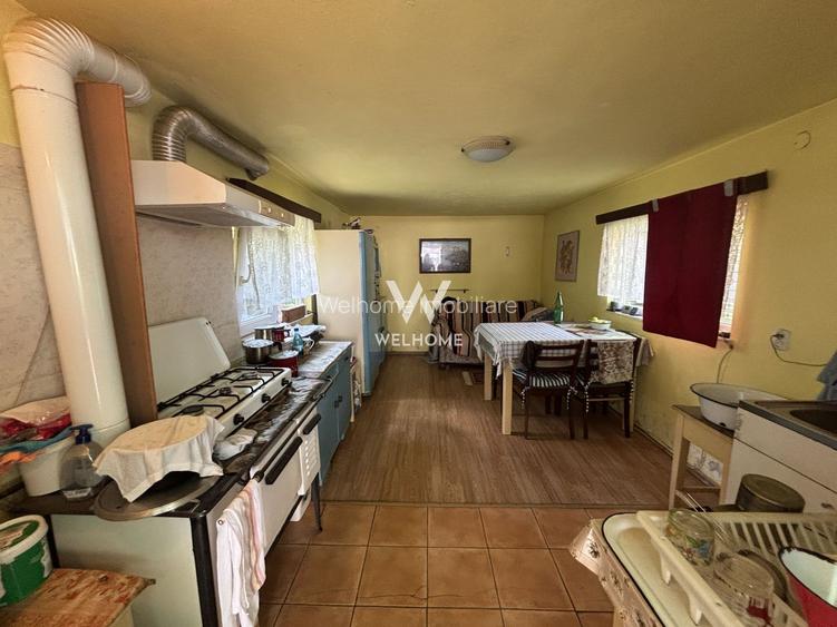 Casă individuală de vânzare în Turnișor | Curte superbă 585 mp - 35