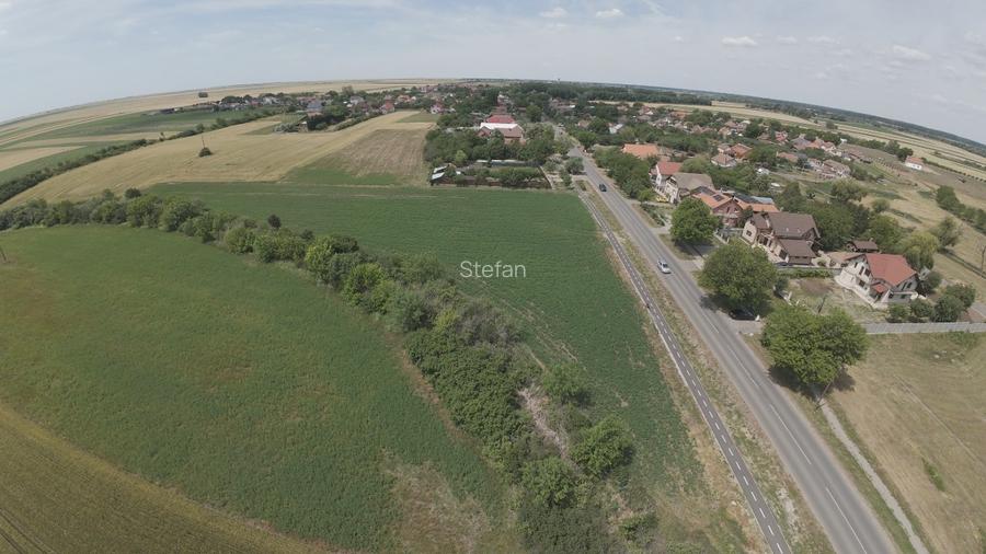 Teren intravilan Zadareni-Bodrogul Nou 8000mp 141m front - Soseaua principala - 6