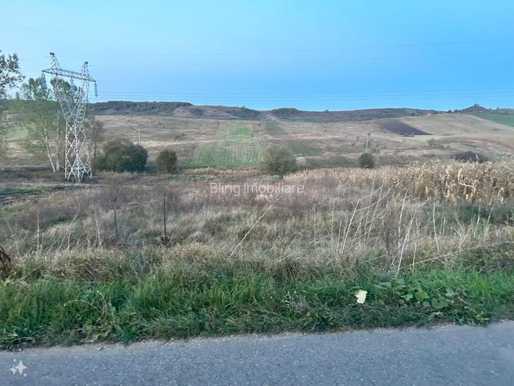 Teren de vanzare 2250mp front 22ml Baciu Salistea Veche  - 3