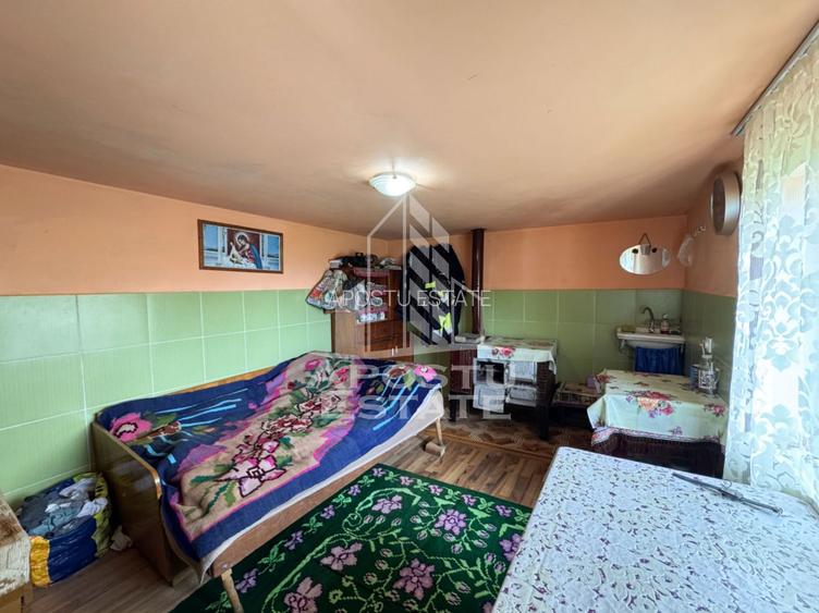 Casa la munte, la cheie, priveliste panoramica, in sat Ret, Hunedoara - 11
