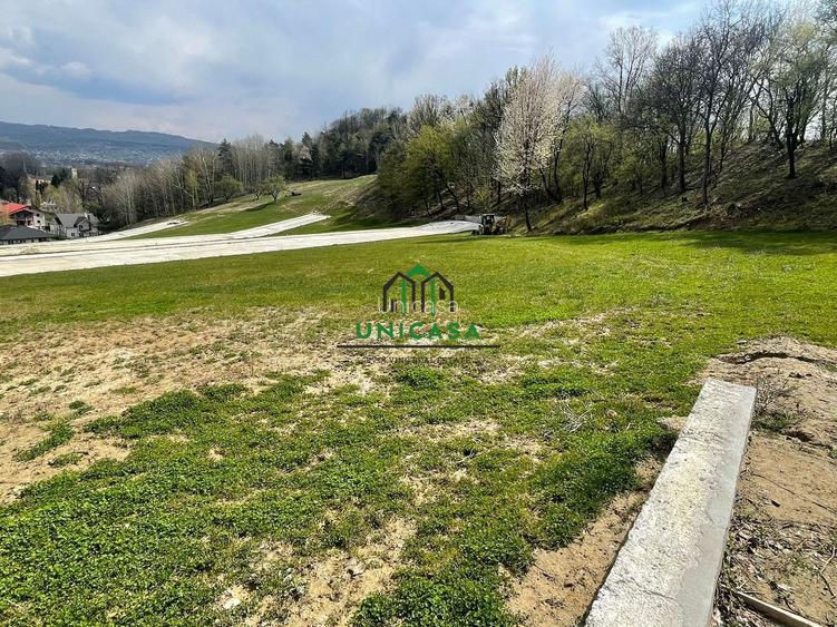 Teren intravilan - Calea Lui Traian - Zona Cetatuia - 9