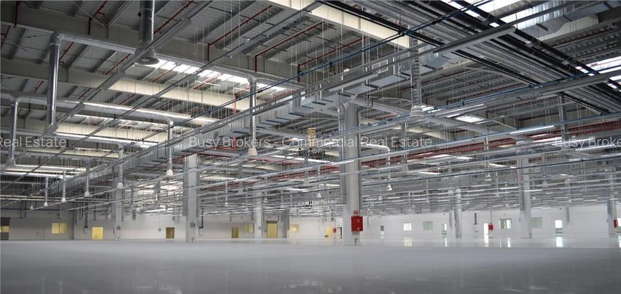 Spatiu Industrial - 3211 mp - Productie - Depozitare - Distributie - 5