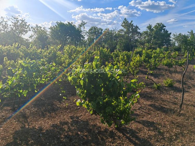 VANZARE CASA INDIVIDUALA - 36