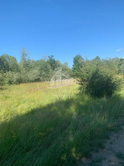 Teren in zona turistica Porumbacu de Sus, 4600 mp - 4