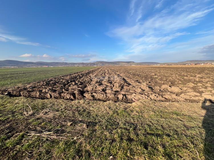 VÂNZARE TEREN EXTRAVILAN – COMUNA CRISTIAN, ZONA „LA SERE” - 4