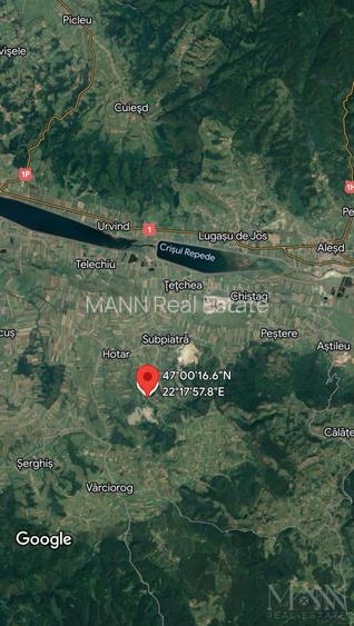 Teren de vânzare | 2,2 ha pădure și fâneață/arabil | zona Hotar, Bihor - 2