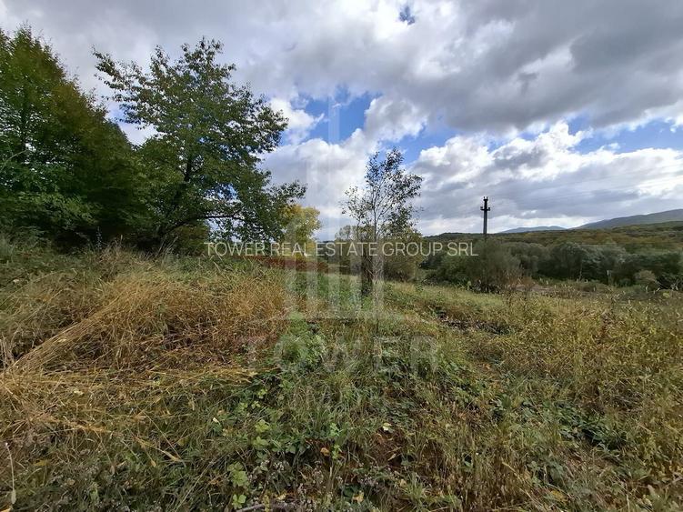 Teren intravilan cu Puz si priveliște deosebită, spre Cetatea Cisnădioara - 13