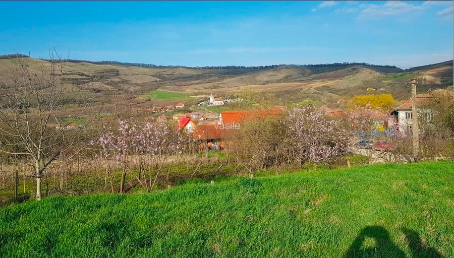 Teren agricol in extravilan la 16 Km de Aiud - 3