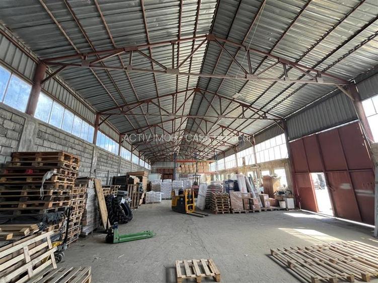Caransebes, Hala Spatiu Industrial, Platforma 1200 mp - 3
