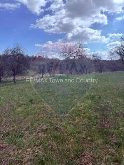 Teren 6,377mp Harnicesti / Strada Principala - 5