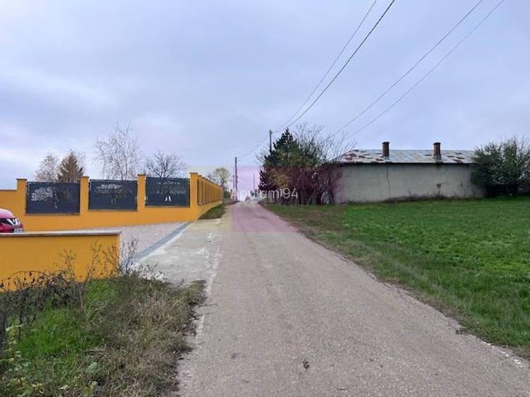 Teren Comana- strada Funieru. - 3