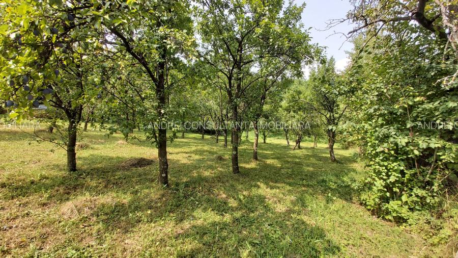 Oportunitate vanzare 6000 mp teren drept,superb toate utilitatile Breaza Prahova - 7