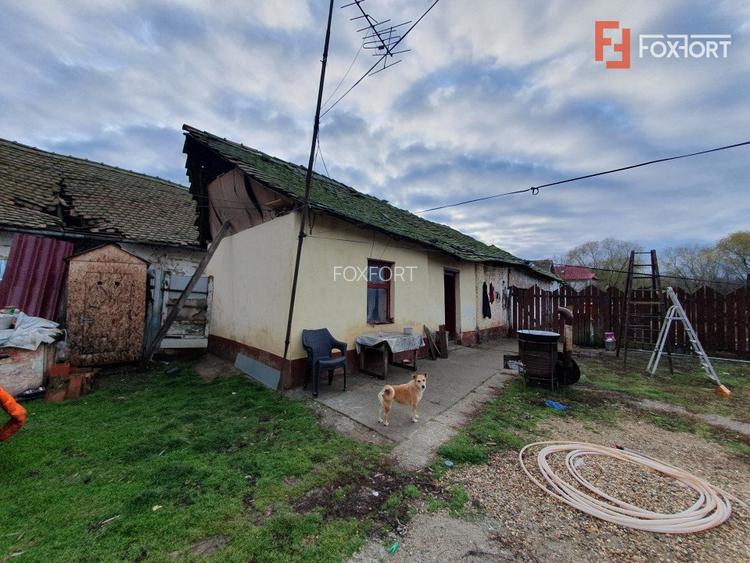 Teren intravilan de 1300 mp, Asfalt - Jebel - 6