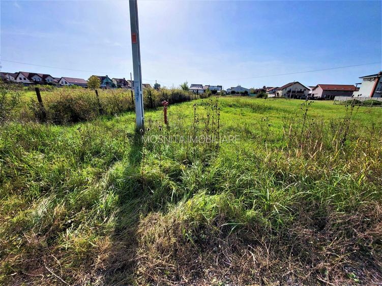 677mp  - Teren Mosnita - Cartier Europa, in apropiere de Lidl - 6