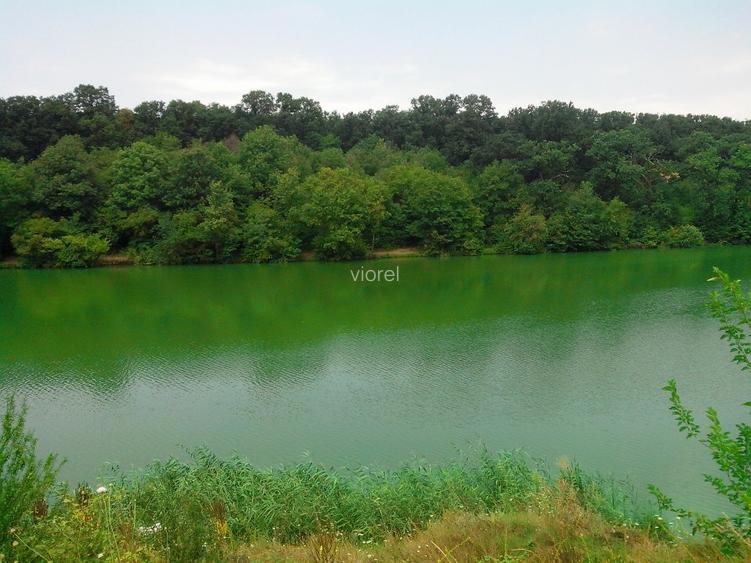 Peisaj de vis pe malul lacului Pasarea Branesti 10 min Bucuresti vand sau schimb - 2