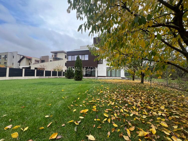 Dimitrie Leonida Metrou - 38