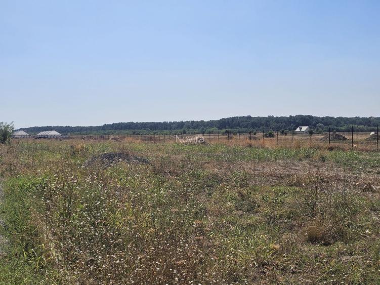 Teren în rate la dezvoltator | toate utilitatile | Acces A0 și DN1 - 4