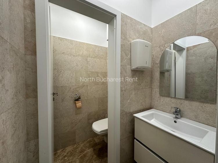 Spatiu birou I Piata Victoriei I Vila interbelica - 3