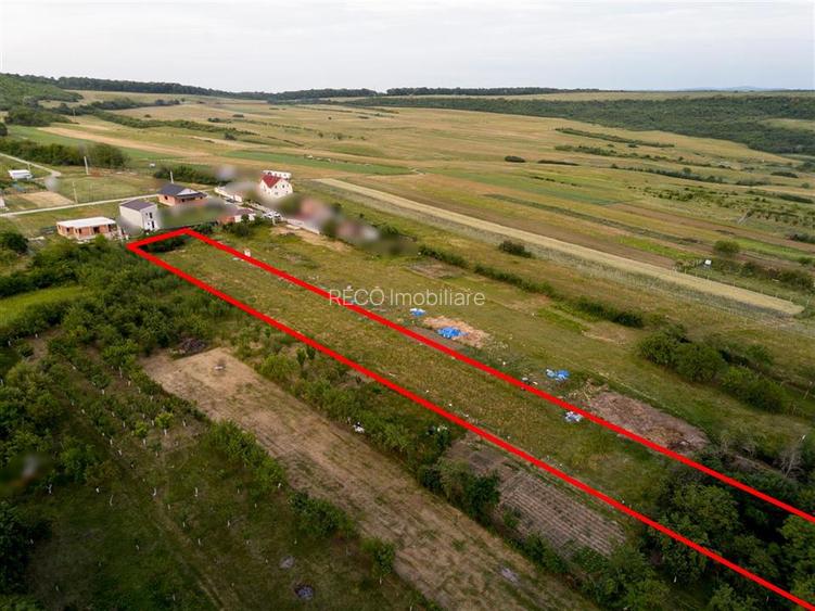 RECO Teren intravilan de vanzare Betfia, Bihor - 3000 mp, front stradal 20 m - 6