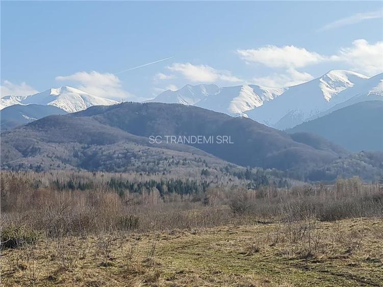 Teren intravilan 2500mp  pe Valea Avrigului,optim casa de vacanta - 4