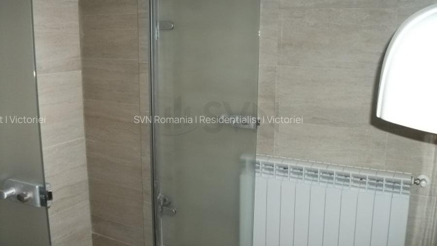 REC0001741 Spatiu Comercial Piata Victoriei - Titulescu - 16