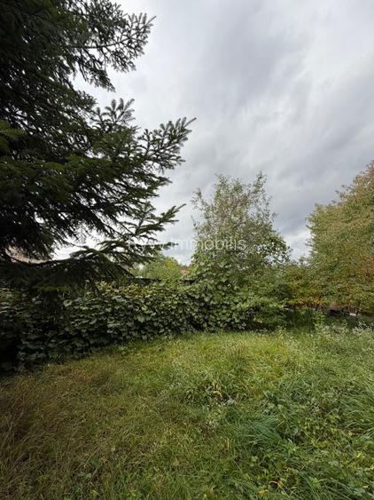 Casă complet renovată, pentru locuință sau pensiune turistică! - 19