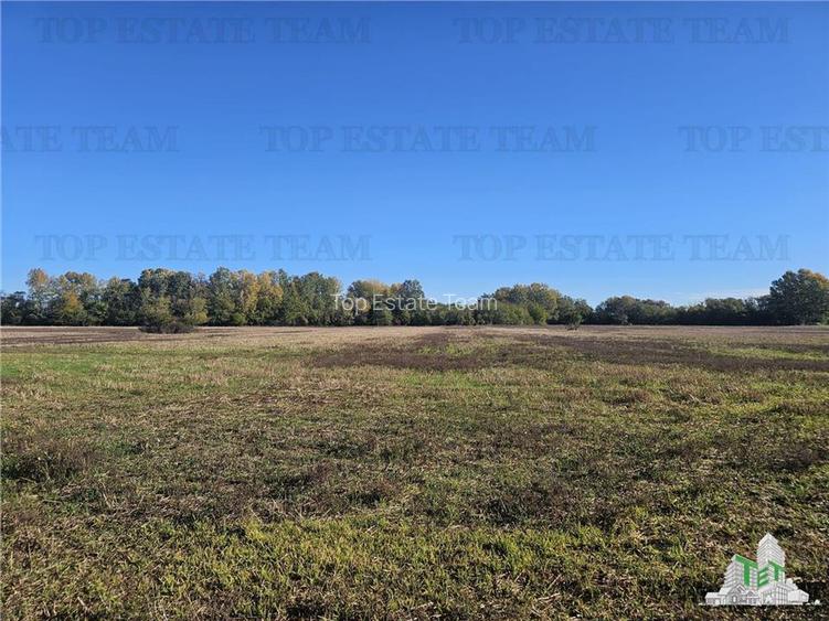 SUPER-PRET Teren 1ha intravilan intre A0, padure si raul Sabar - 2