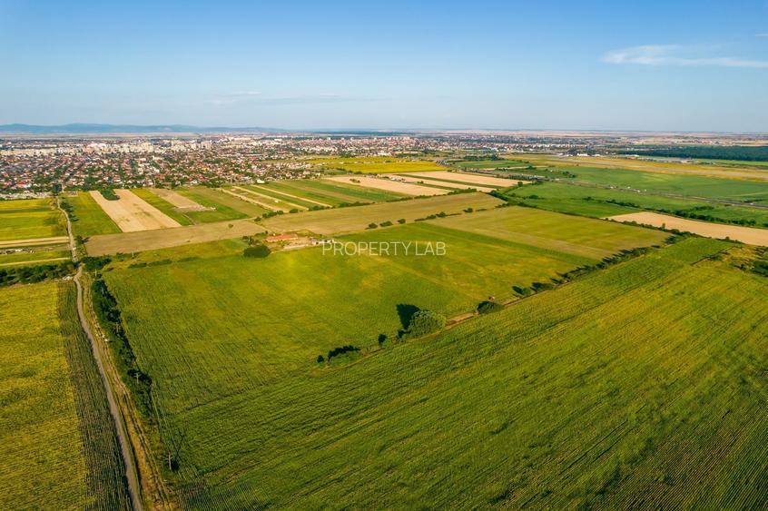 Teren de 10.000 mp situat în Bujac, Arad - 6