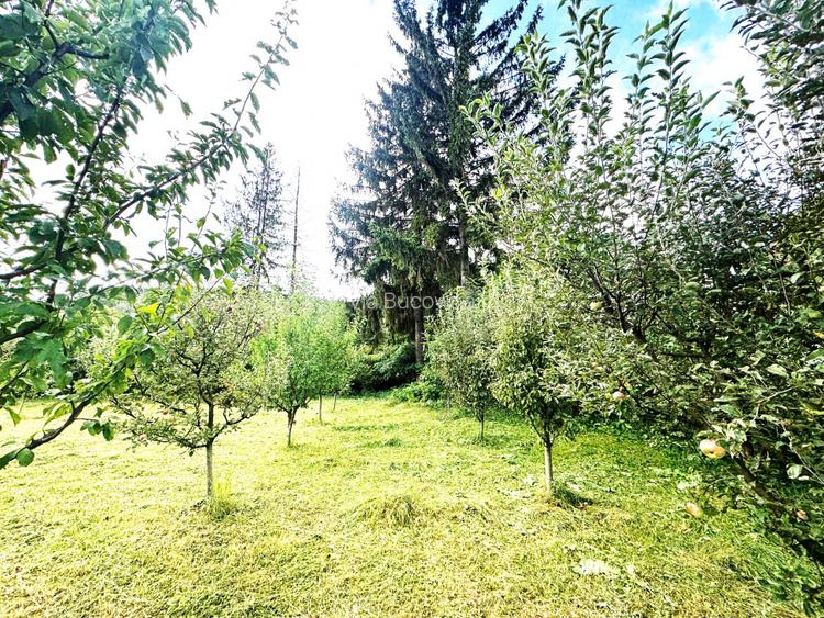 Vanzare teren investitie retail in Gura Humorului - Bld. Bucovinei - 14