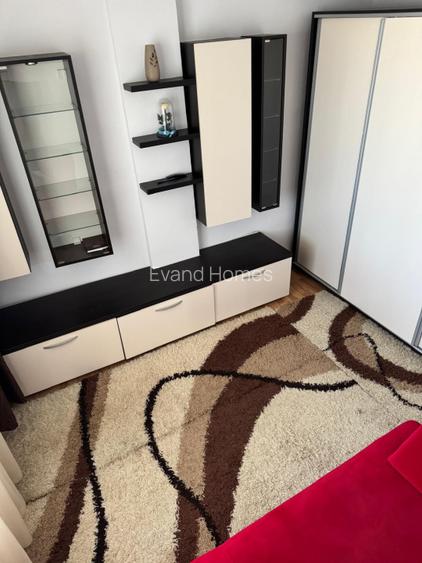 De inchiriat - apartament cu 2 camere mobilat modern-Lipovei - 11