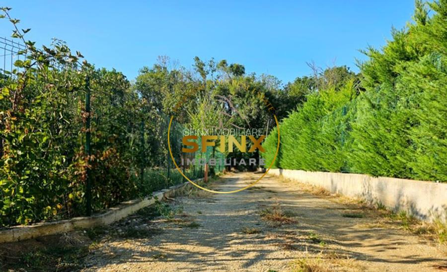 Casa pe parter, Balotesti, intr-o zona linistita in proximitatea padurii. - 13