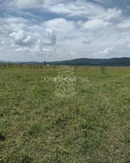 Teren 23700 mp (2,37 ha)-ideal investitie,cabana-Sesul Jelnei - 4